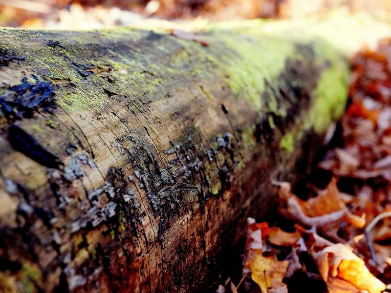 feedback screenshot 5